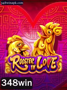 Explorando o Fascinante Mundo de RoosterInLove: Regras e Estratégias
