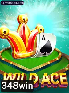 Explorando o Mundo de WildAce: Uma Jornada em Busca do 348win